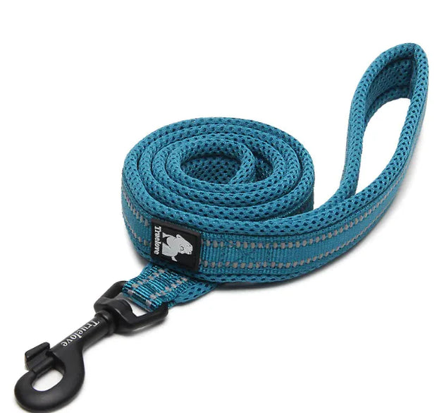 Pet dog leash