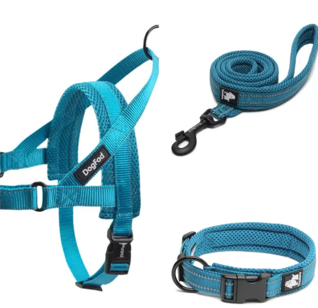 Pet dog leash