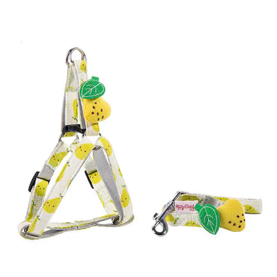 Fruit Series Dog Collars and Leash for Outings