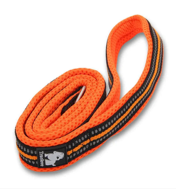 Pet dog leash