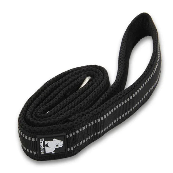 Pet dog leash