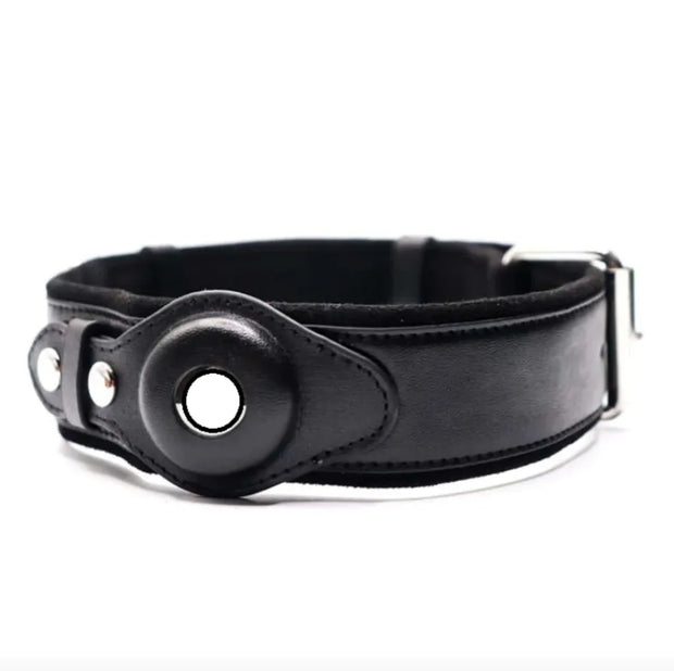 Leather Dog Collar with Location Tracker