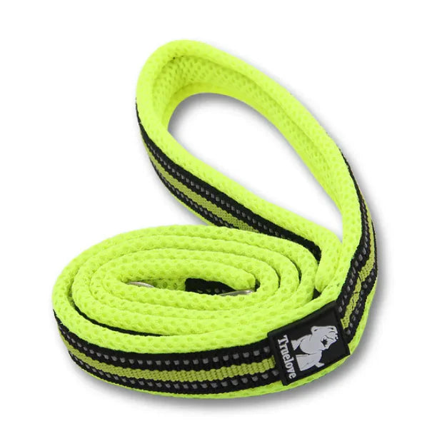 Pet dog leash